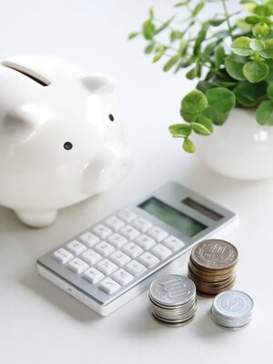 cover image of Currency market account